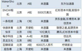 东城集团旗下有多少家全资子公司？(各控股类型企业融资情况表)