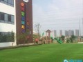 武汉沌口附近有什么幼儿园？(君融国际控股有限公司怎么样)
