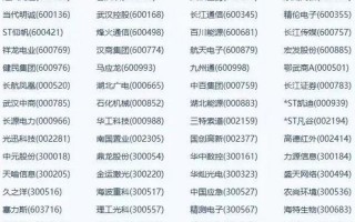武汉a股上市公司名单（武汉的上市公司一览表）