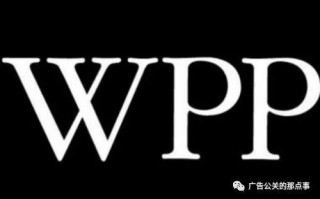 wpp是什么意思？(文鑫控股)